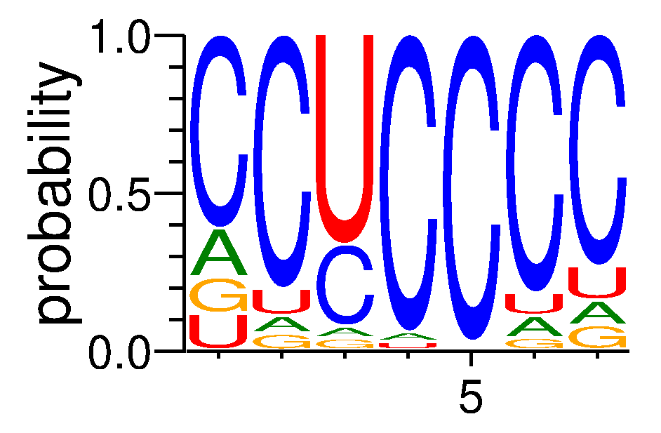 RBM23 (1)