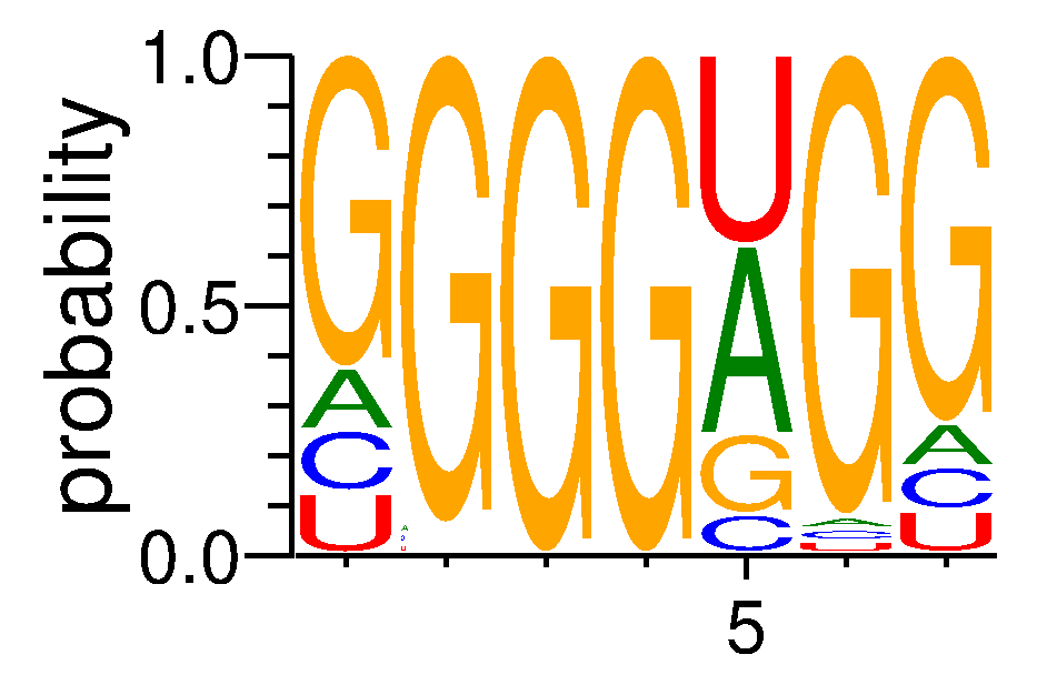 RBM25 (1)