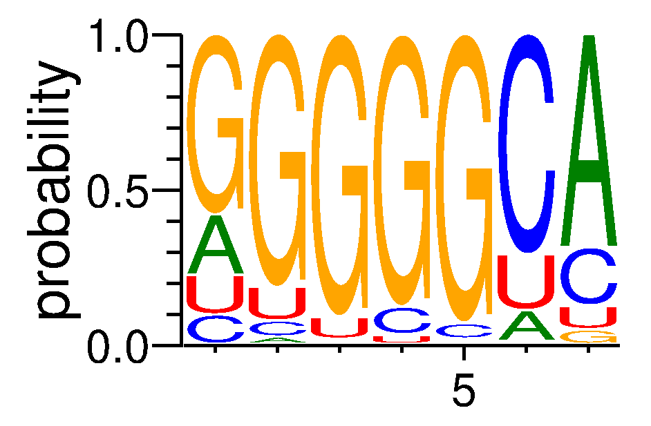 RBM25 (2)