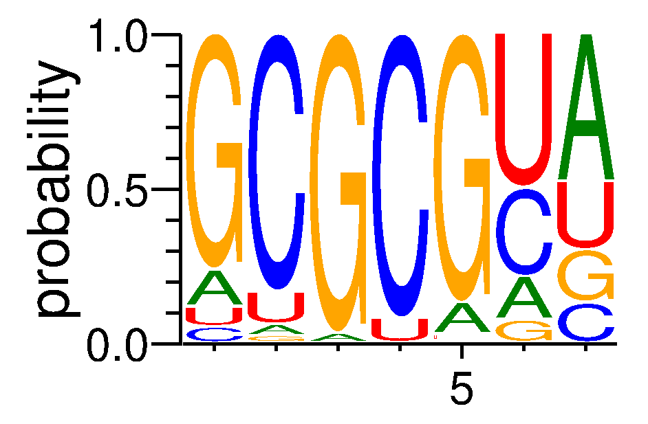 RBM4 (3)