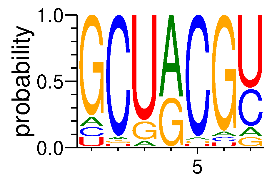 RBM4 (4)