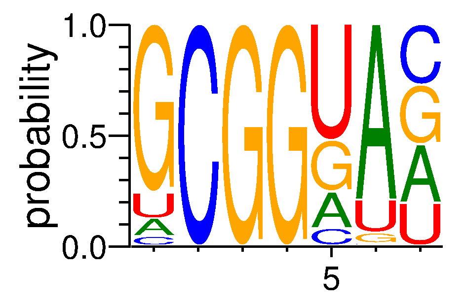 RBM4B (4)