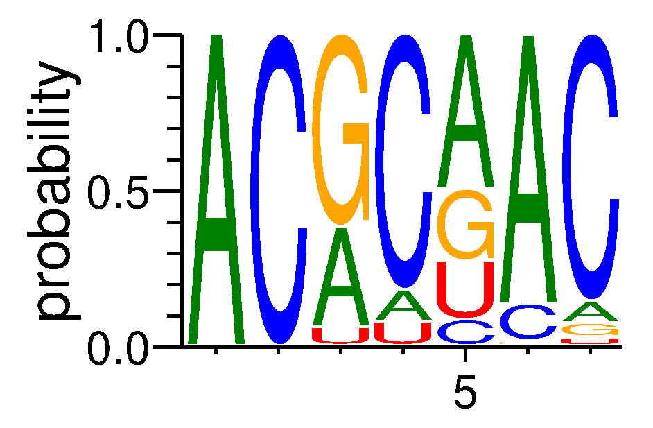RBM45 (3)