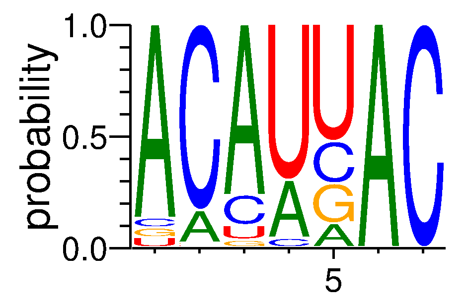 RBM45 (4)
