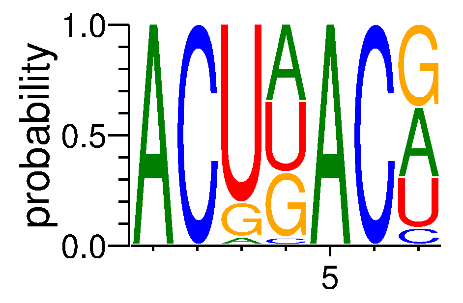 RBM45 (5)