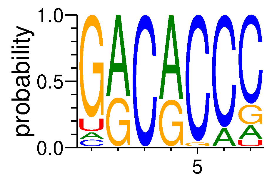 RBM45 (6)