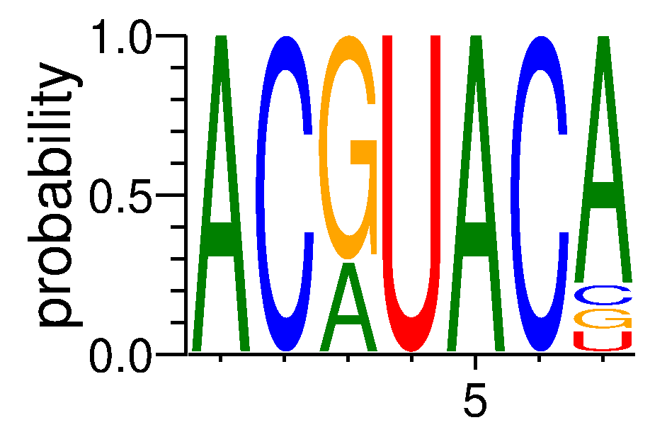 RBM45 (7)