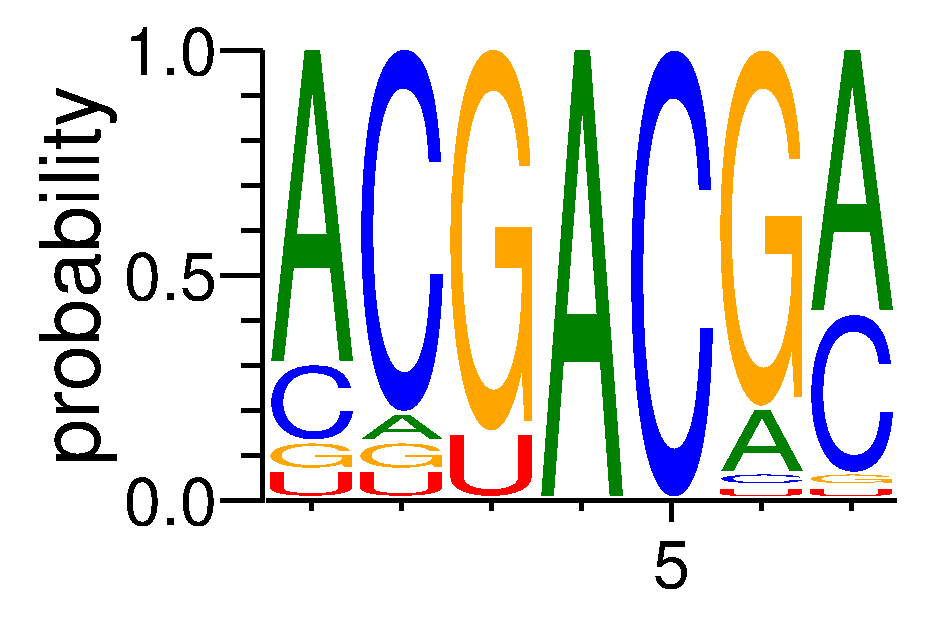 RBM45 (8)