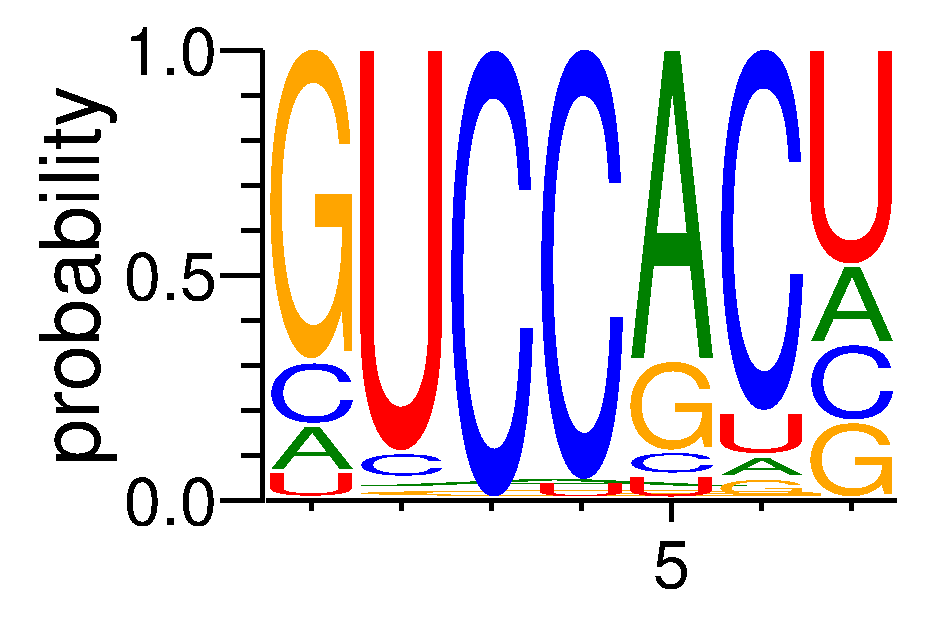 RBM6 (4)