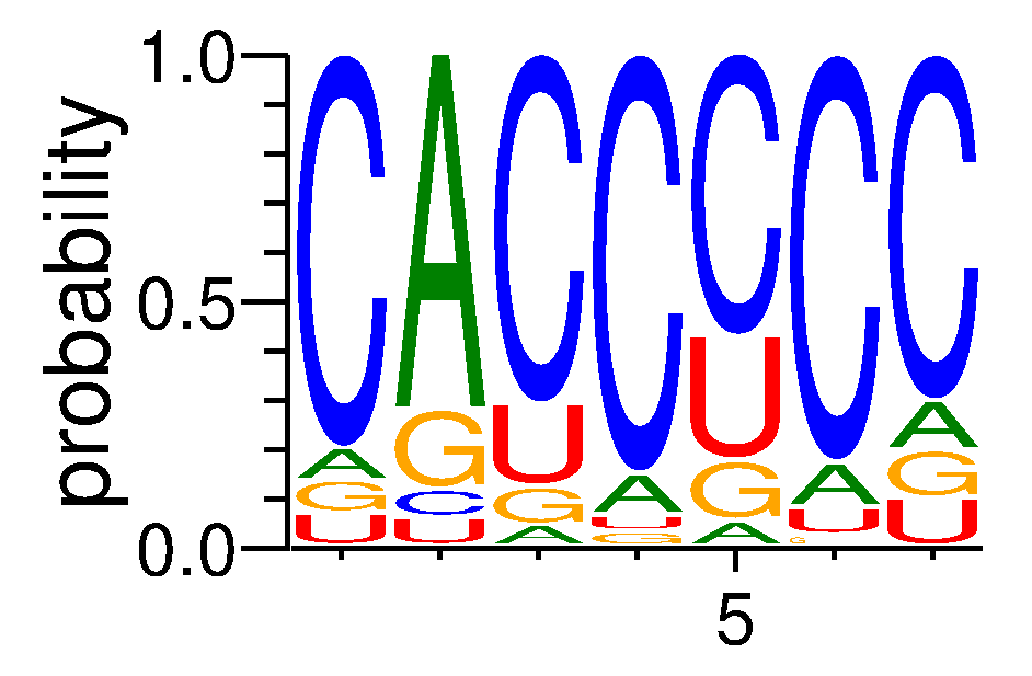 RBM6 (5)
