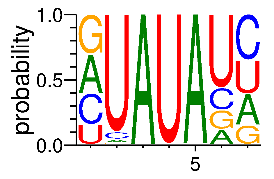 RBMS2 (1)