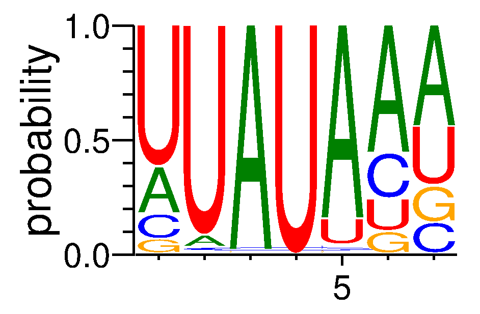 RBMS2 (2)