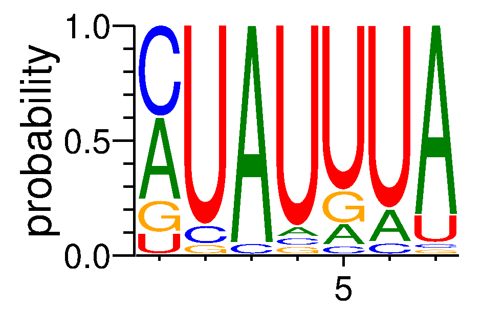 RBMS2 (3)