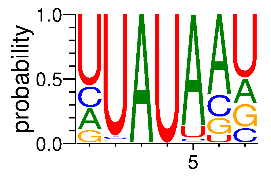 RBMS3 (4)