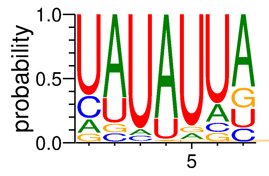 RC3H1 (1)