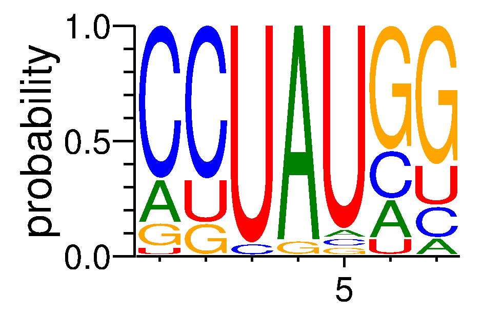 RC3H1 (2)