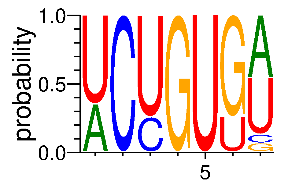 RC3H1 (3)