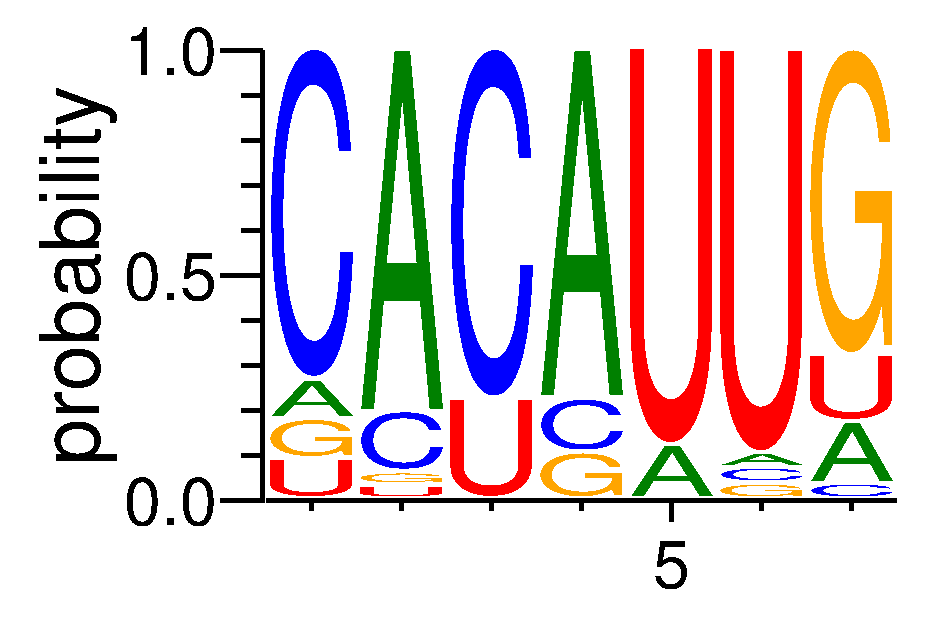 RC3H1 (4)
