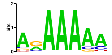 SART3