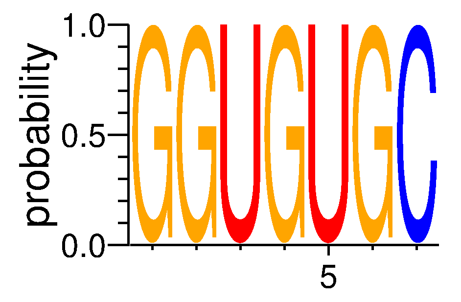 SRSF4 (3)