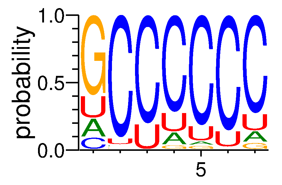 TAF15 (2)