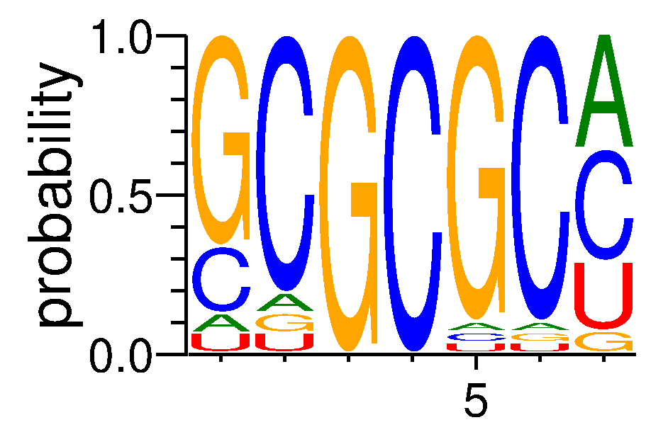 TAF15 (3)
