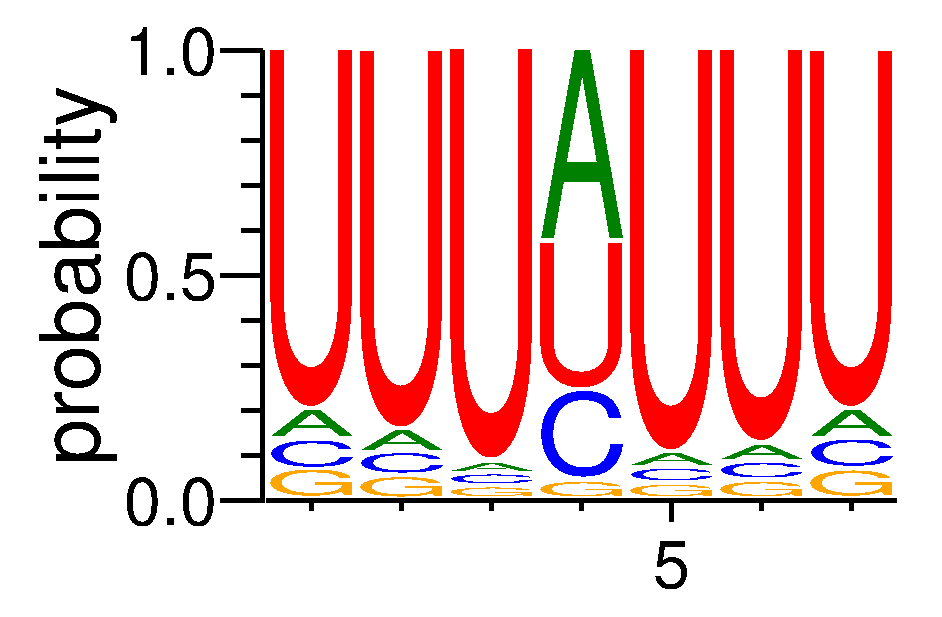 TIA1 (5)