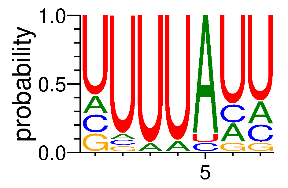 TIA1 (6)