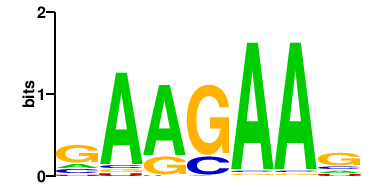 tra2