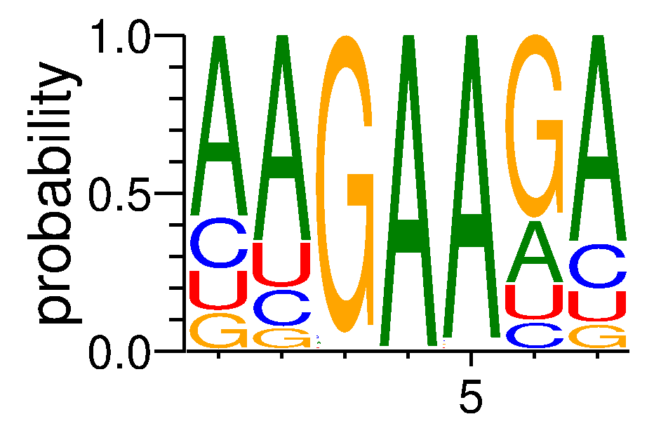 TRA2A (1)