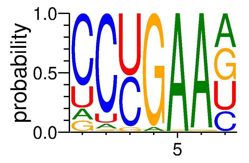 TRA2A (2)
