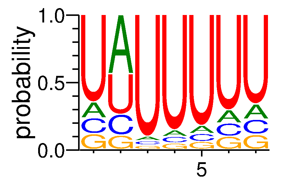 TRNAU1AP (2)