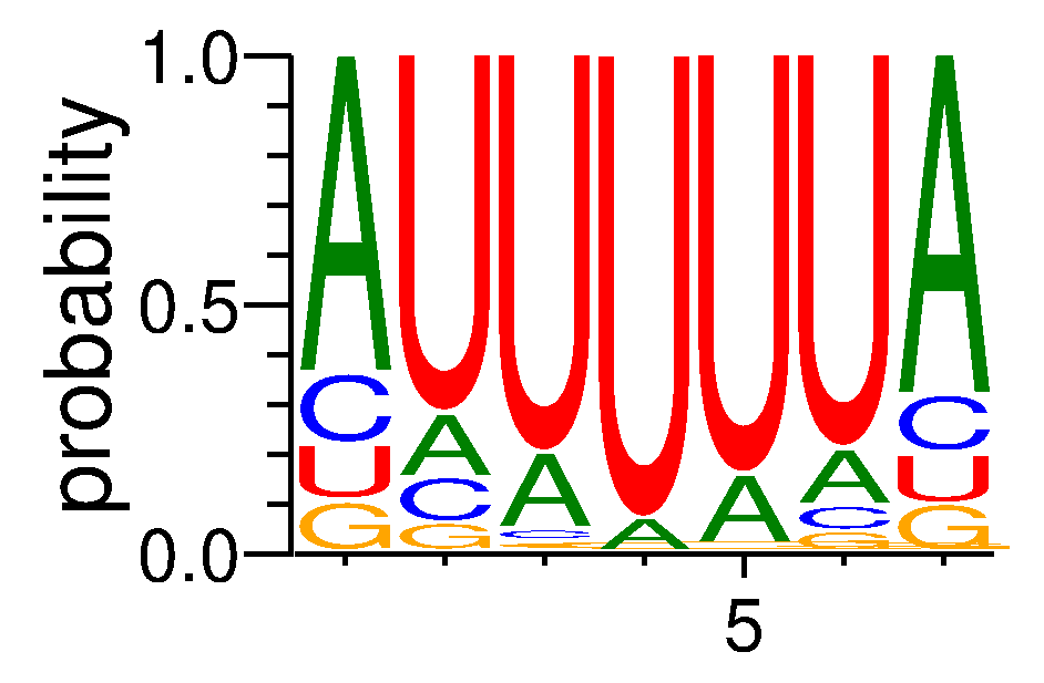 TRNAU1AP (3)