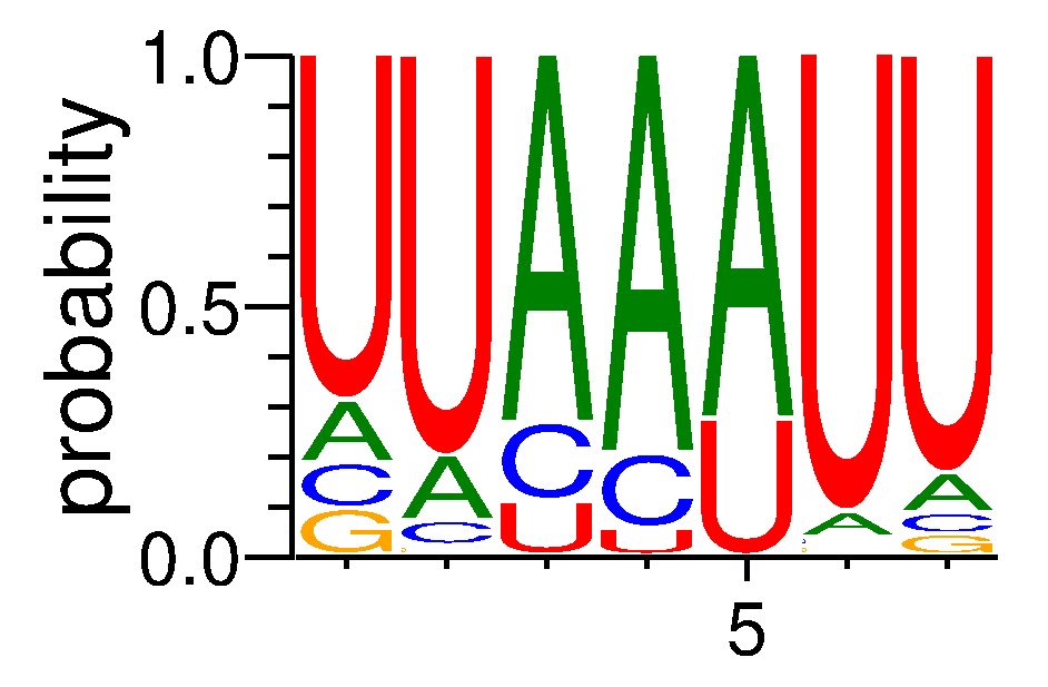 TRNAU1AP (4)