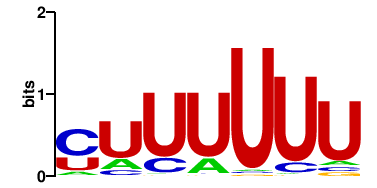 Y59A8B.10