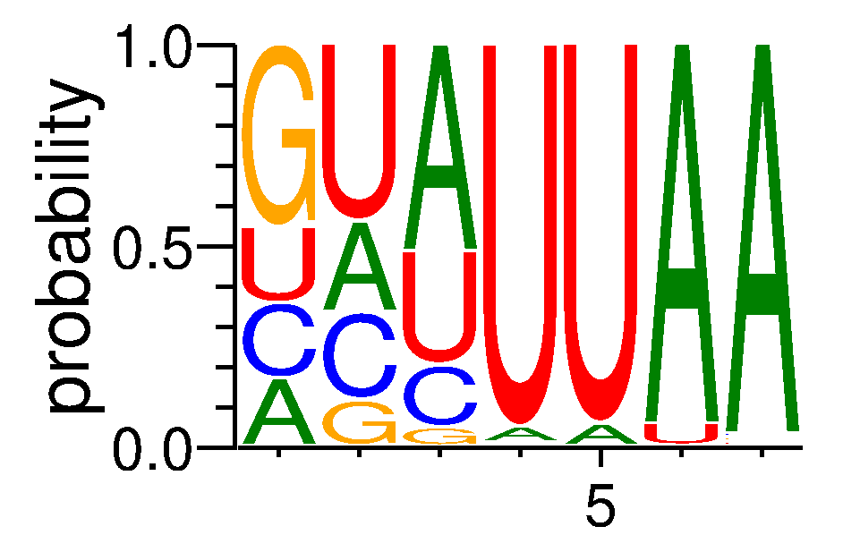 ZCRB1 (1)