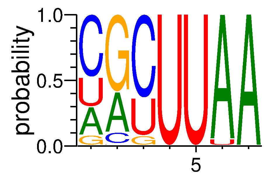 ZCRB1 (2)