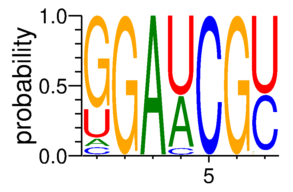 ZNF326 (3)