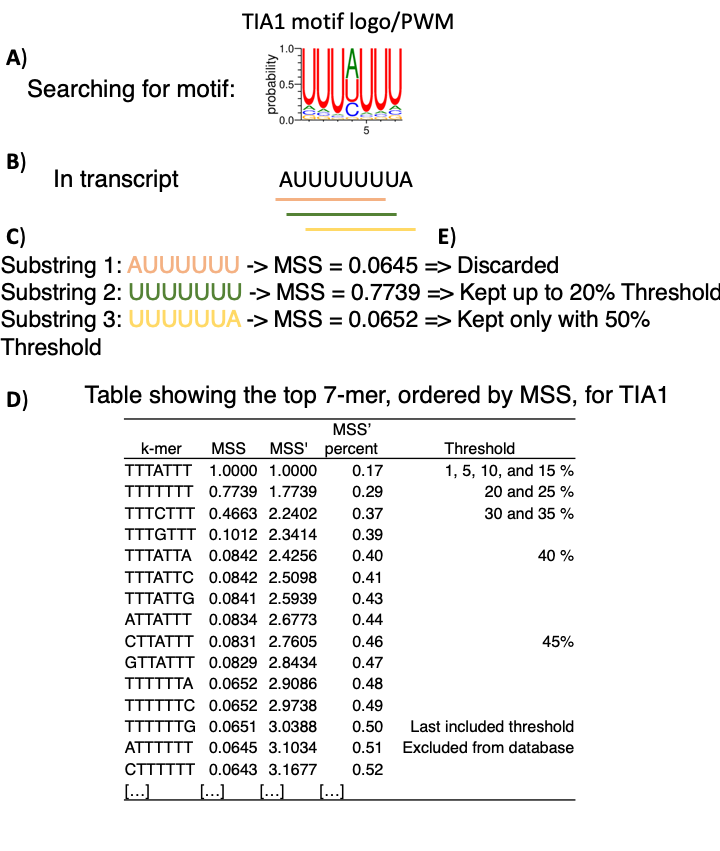 Science_Math_Algo.png
