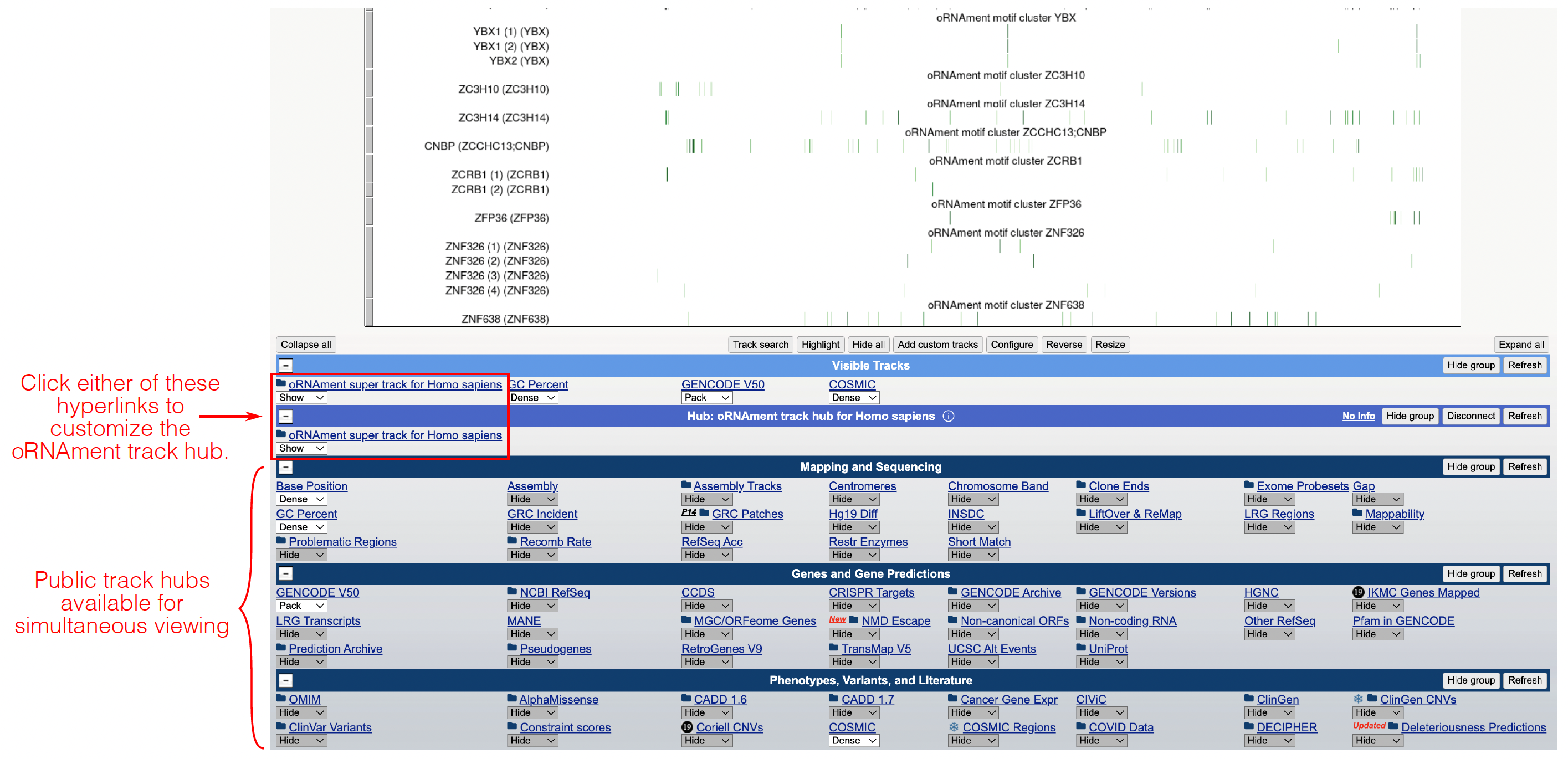 trach_hub_2.png